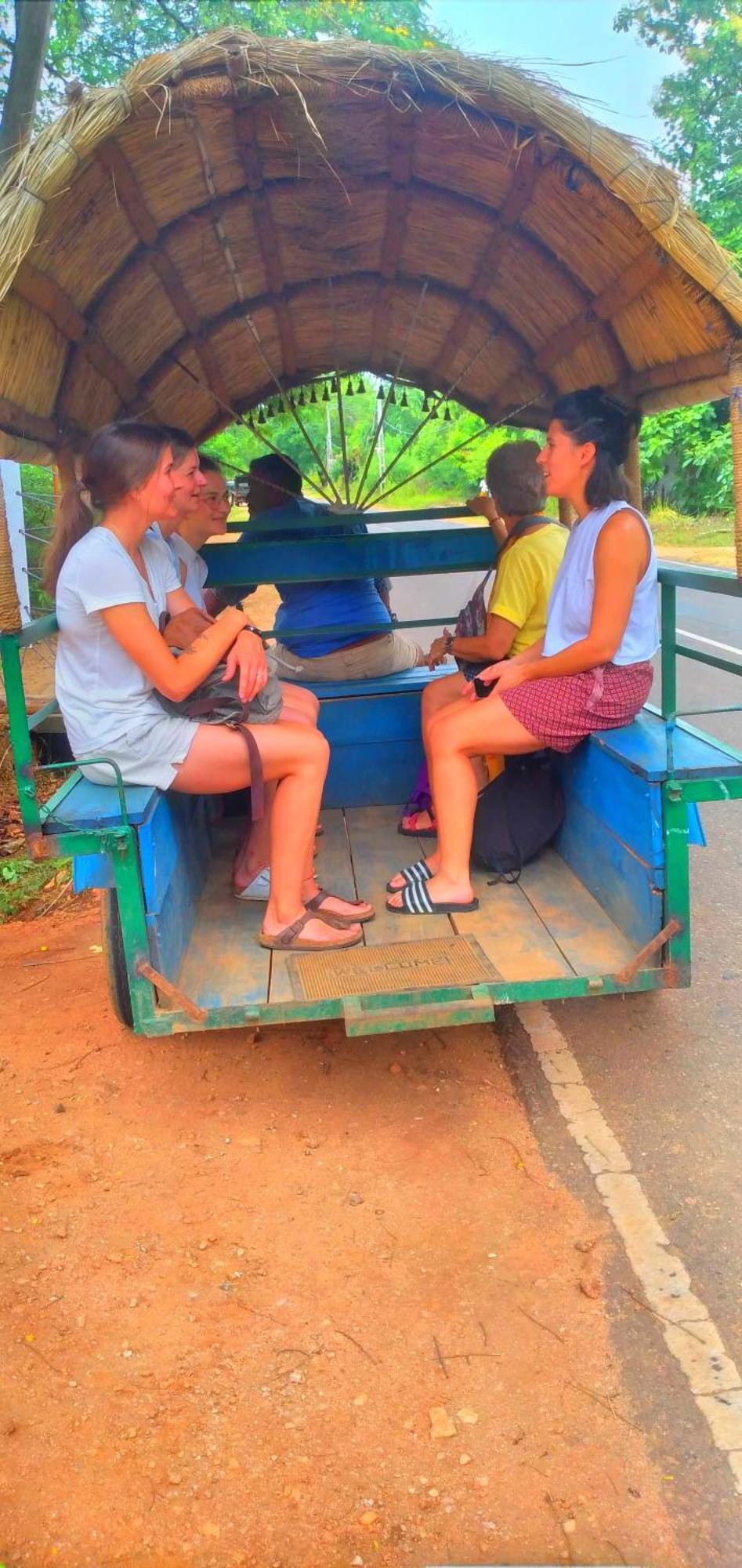 Sigiriya Nature Resort Ngoại thất bức ảnh